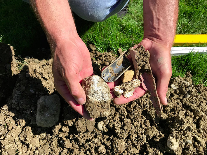 Expert paysagiste